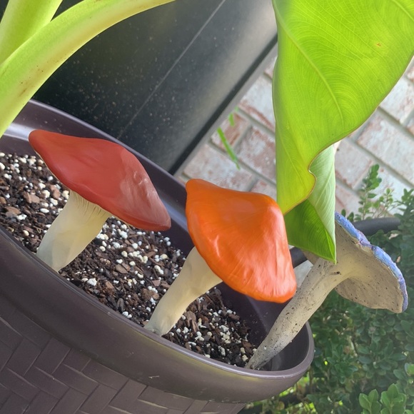 Set of 3 MUSHROOM π GARDEN FLOWER PLANT POT STAKES - Picture 8 of 12